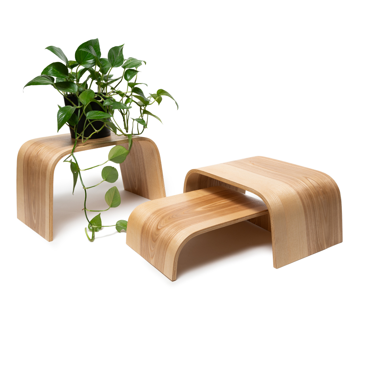 Wooden plant stands with potted green plants