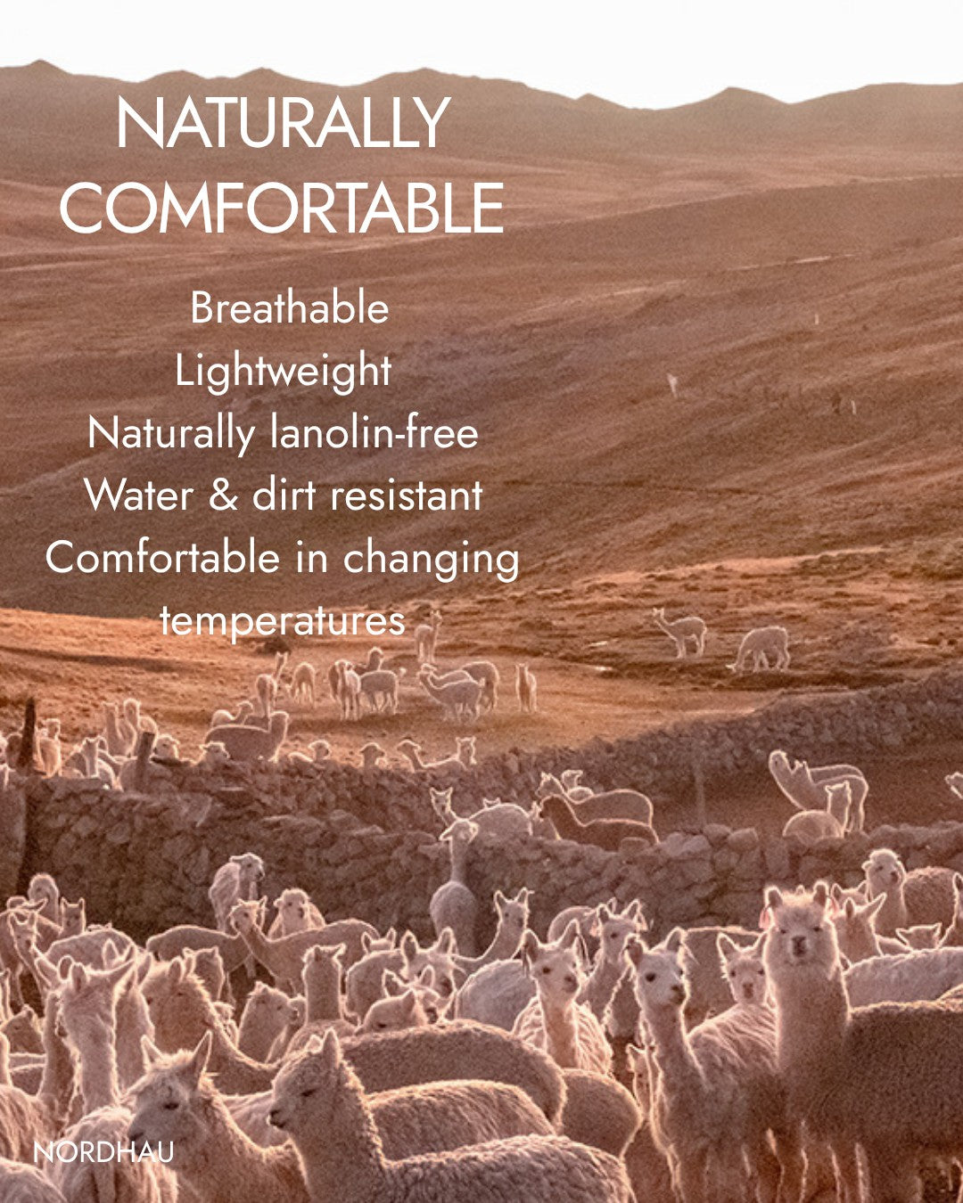 Alpaca wool throw comfort