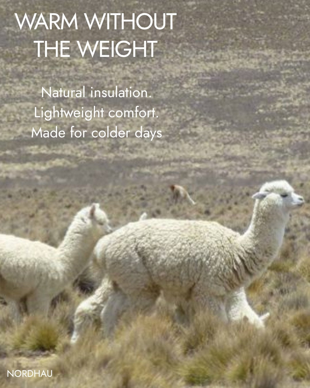 Alpaca wool throw warmth