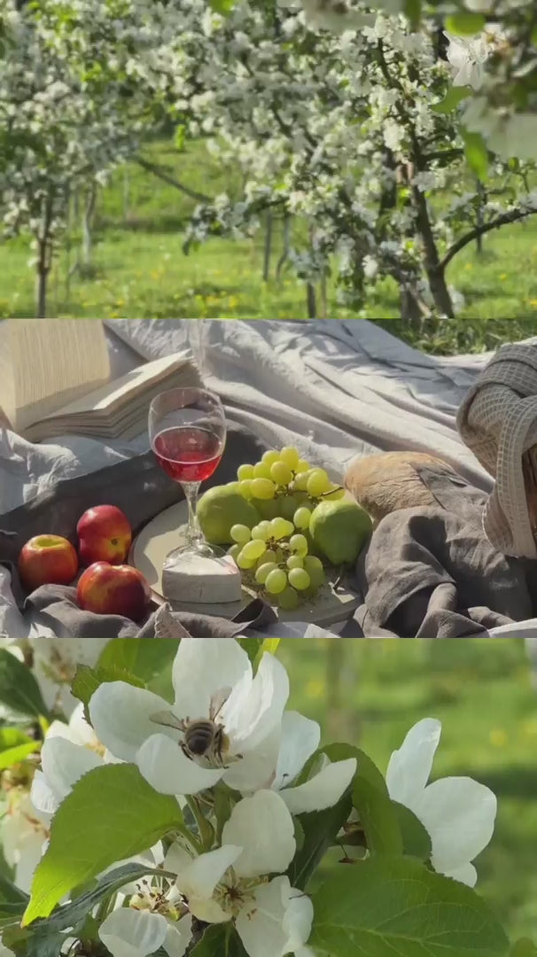 Nordic lifestyle video